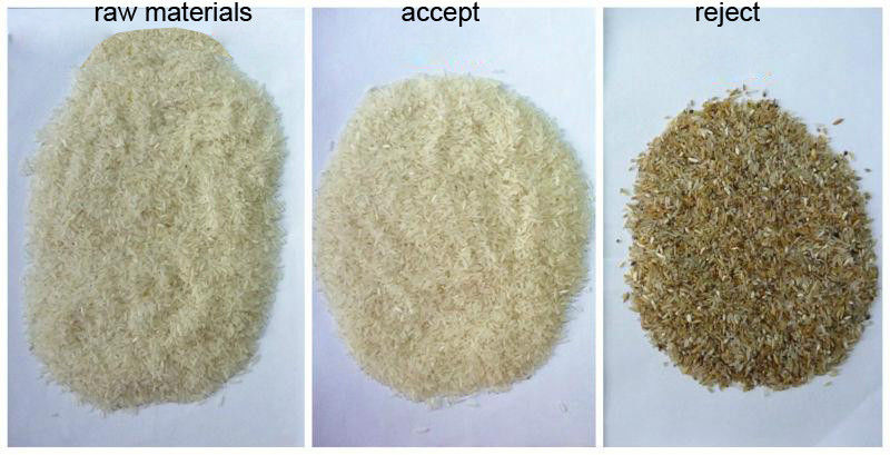 Clasificador automático del color del arroz del CCD para quitar nueces amarillas negras de las habas de la lenteja de la avena del arroz