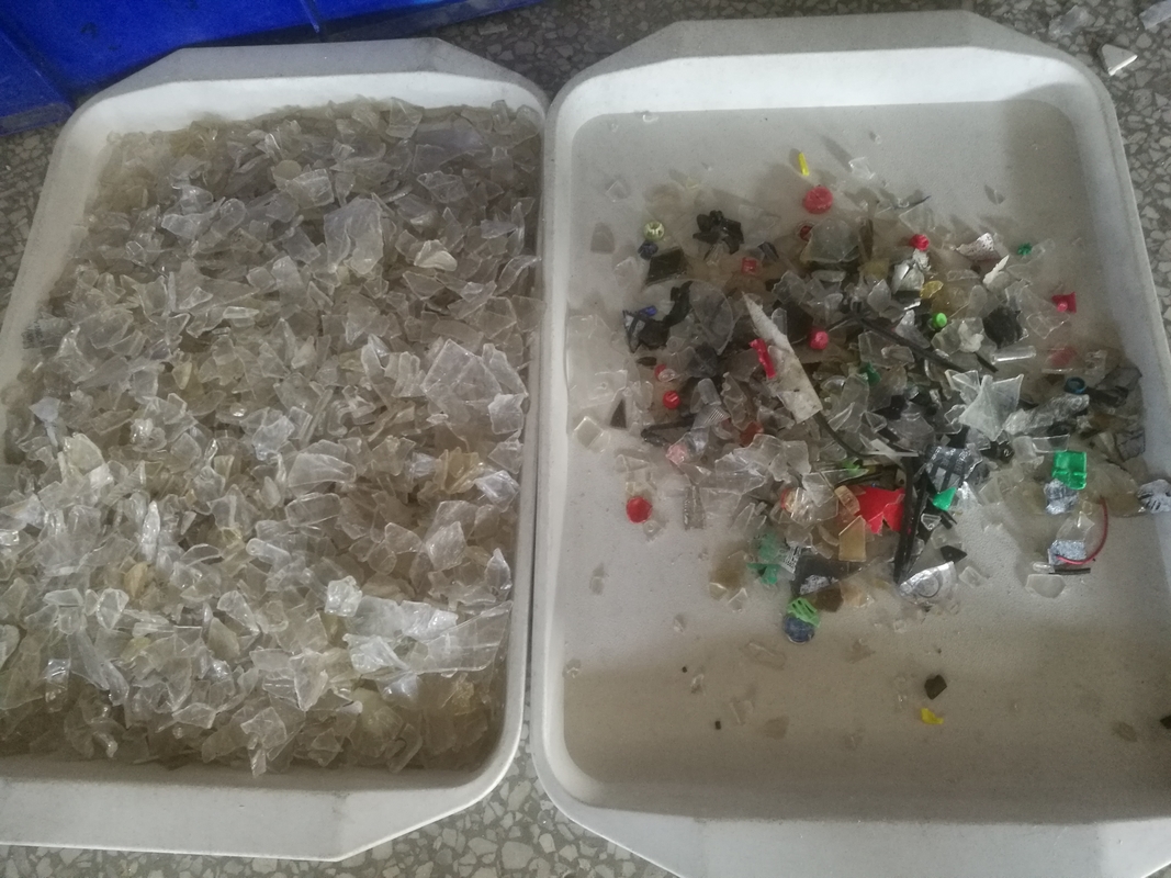 Los gránulos plásticos del Ldpe del HDPE del animal doméstico del Pvc de los Pp del PE colorean la clasificadora del color del clasificador para las escamas del animal doméstico