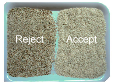 El CCD coció el clasificador del color a medias del arroz automático para separar la impureza