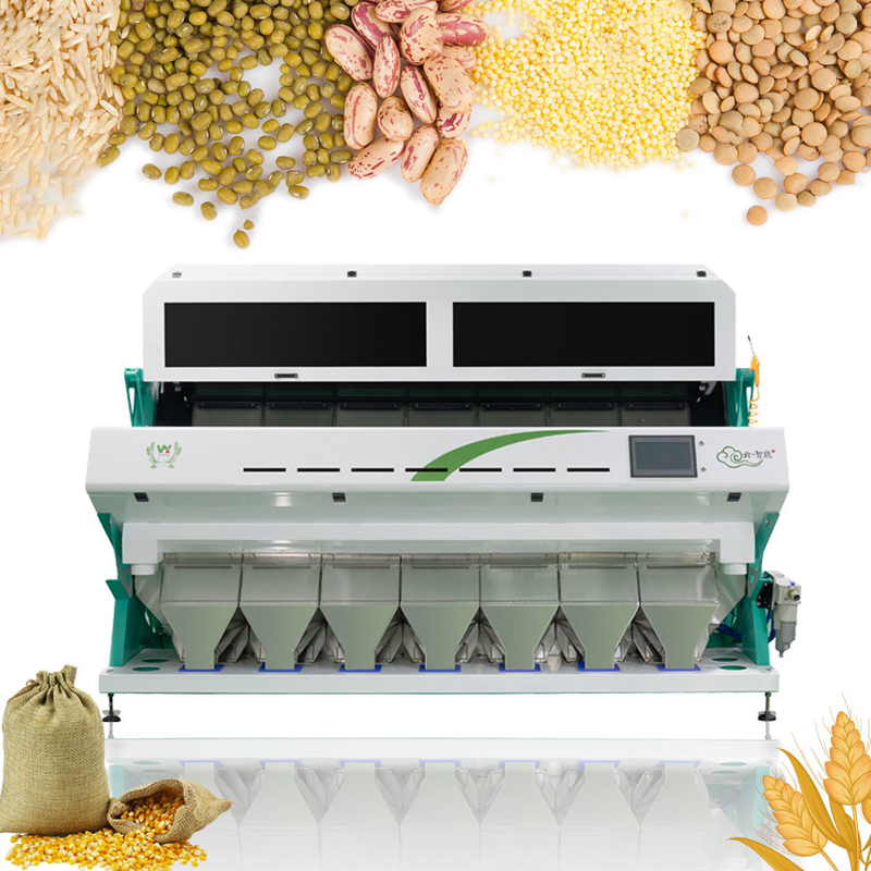 Precisión de la máquina del clasificador de Paddy Corn Soybean Grain Color del trigo alta