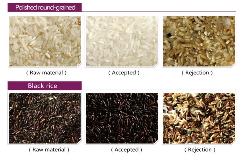 Máquina multifuncional de Selctor del clasificador del color del grano del arroz de 6 canales inclinados que clasifica para los cereales del arroz