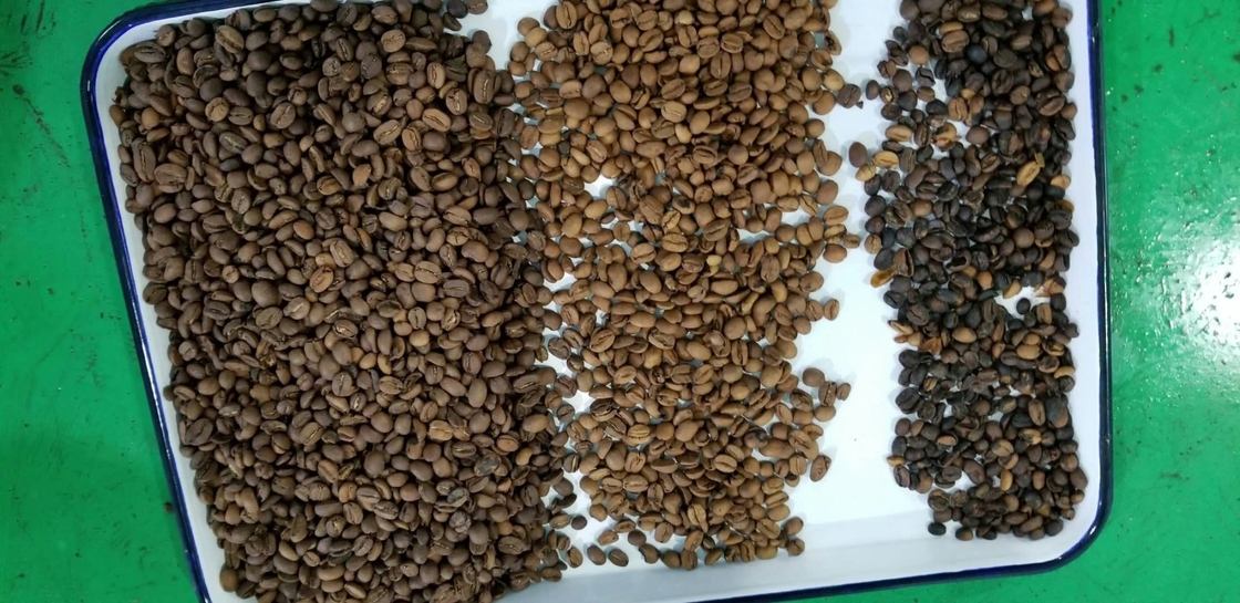 El arroz del grano siembra la máquina de cristal del clasificador del color del plástico del té