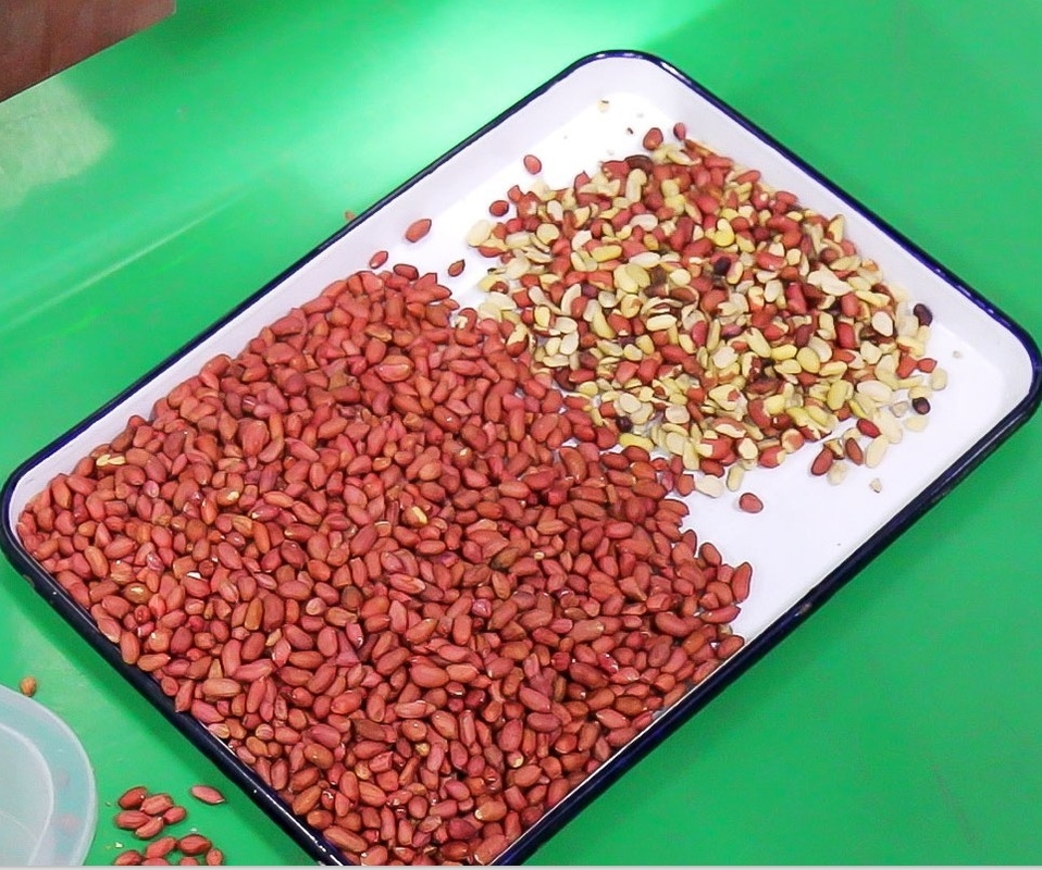 WENYAO Grain Sorter High Performance para la línea de la producción de la pimienta
