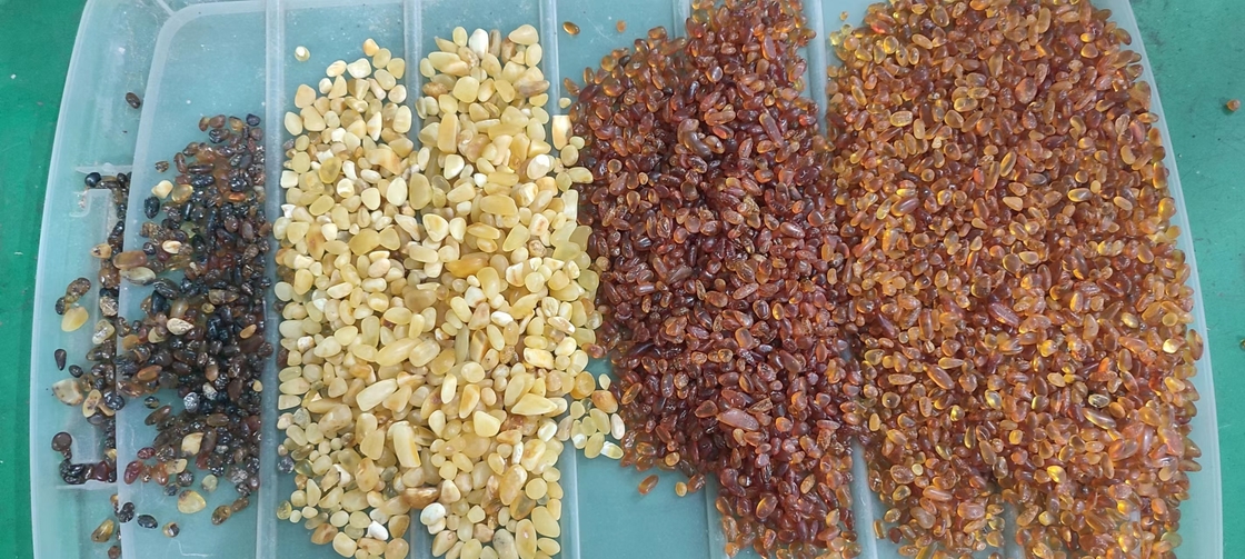 Funcional multi de la quinoa del clasificador óptico blanco rojo del color con la cámara CCD de Toshiba