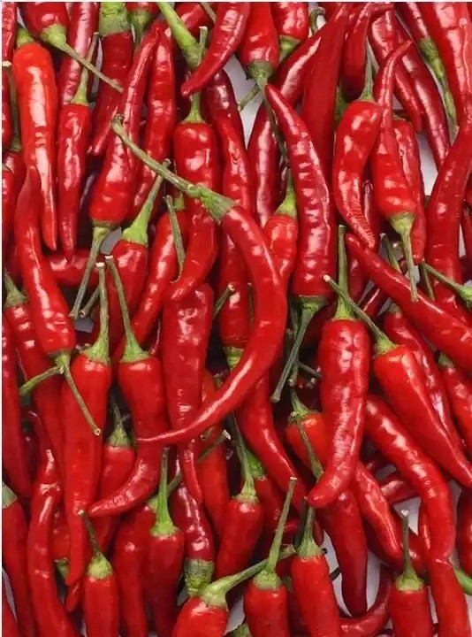 Cámara de Chili Belt Color Sorter With RGB del pimiento picante