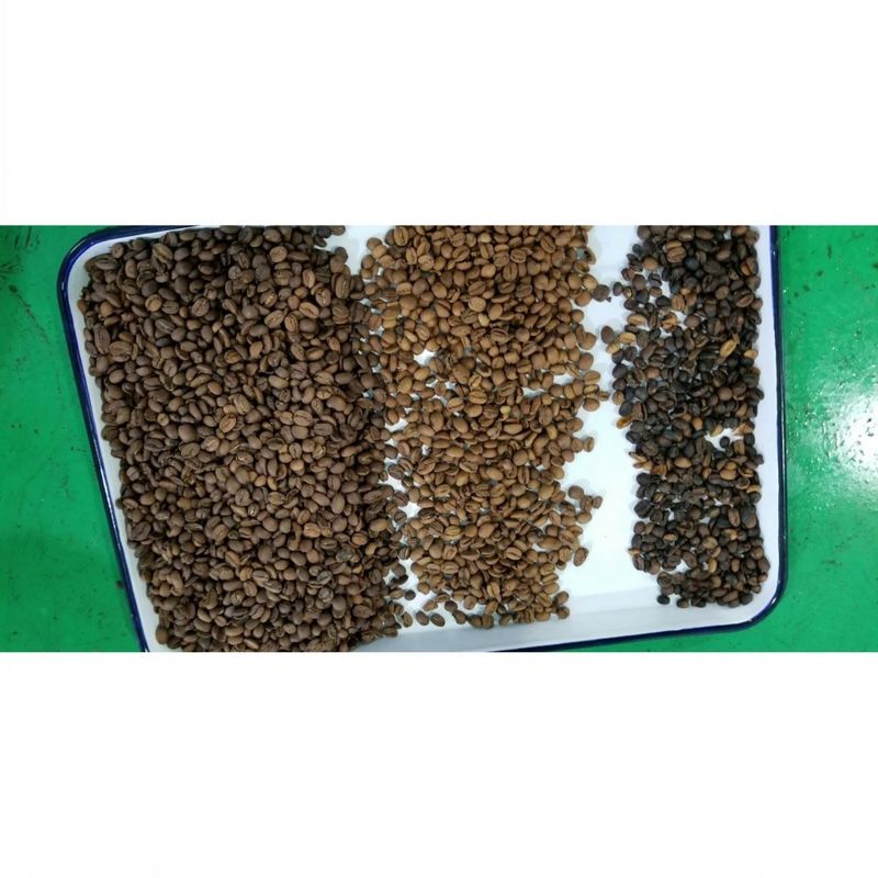 Clasificador automático de granos de color, máquina clasificadora de granos de café, separador multifuncional para soja, lentejas, garbanzos
