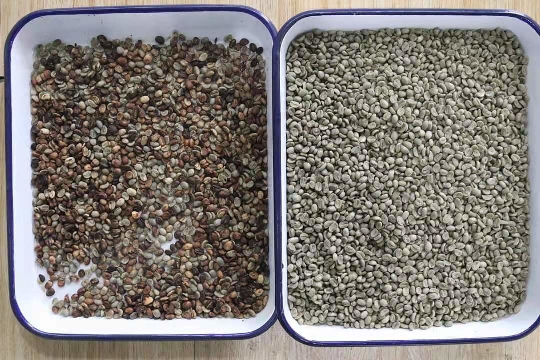 Canales inclinados ópticos de Bean Mung Bean Sorting Machine 1 del riñón del CCD del RGB