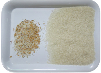 Máquina del clasificador del color de WENYAO Peeled Peanuts Nuts Rice con CCD LED automáticamente