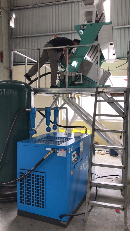 Las habas de Polonia Rye colorean la máquina del clasificador para las habas blancas que clasifican y que limpian