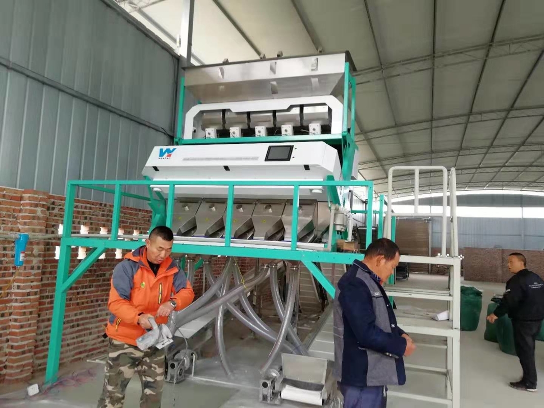 Las habas de Polonia Rye colorean la máquina del clasificador para las habas blancas que clasifican y que limpian