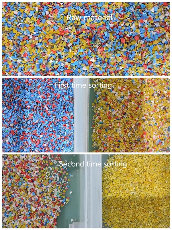Clasificador del color del precio de fábrica para el ANIMAL DOMÉSTICO plástico con la alta precisión en existencia