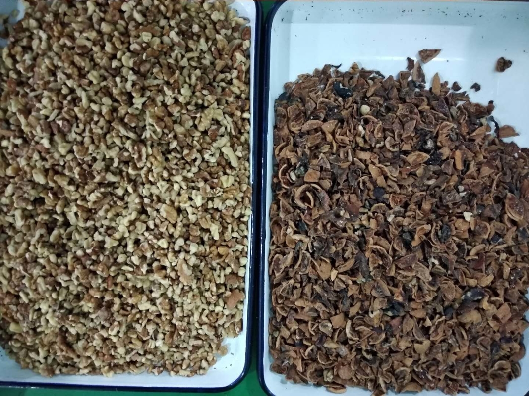 Semilla de WENYAO Walnut Shell Removal Machine que defiende la máquina del clasificador del color de la nuez del AI