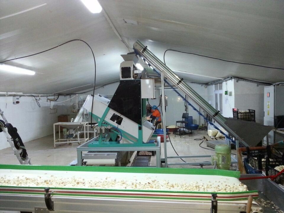 Smart 8 canaliza el CE óptico del CE ISO9001 del CCD de Paddy Grain Color Sorter del trigo