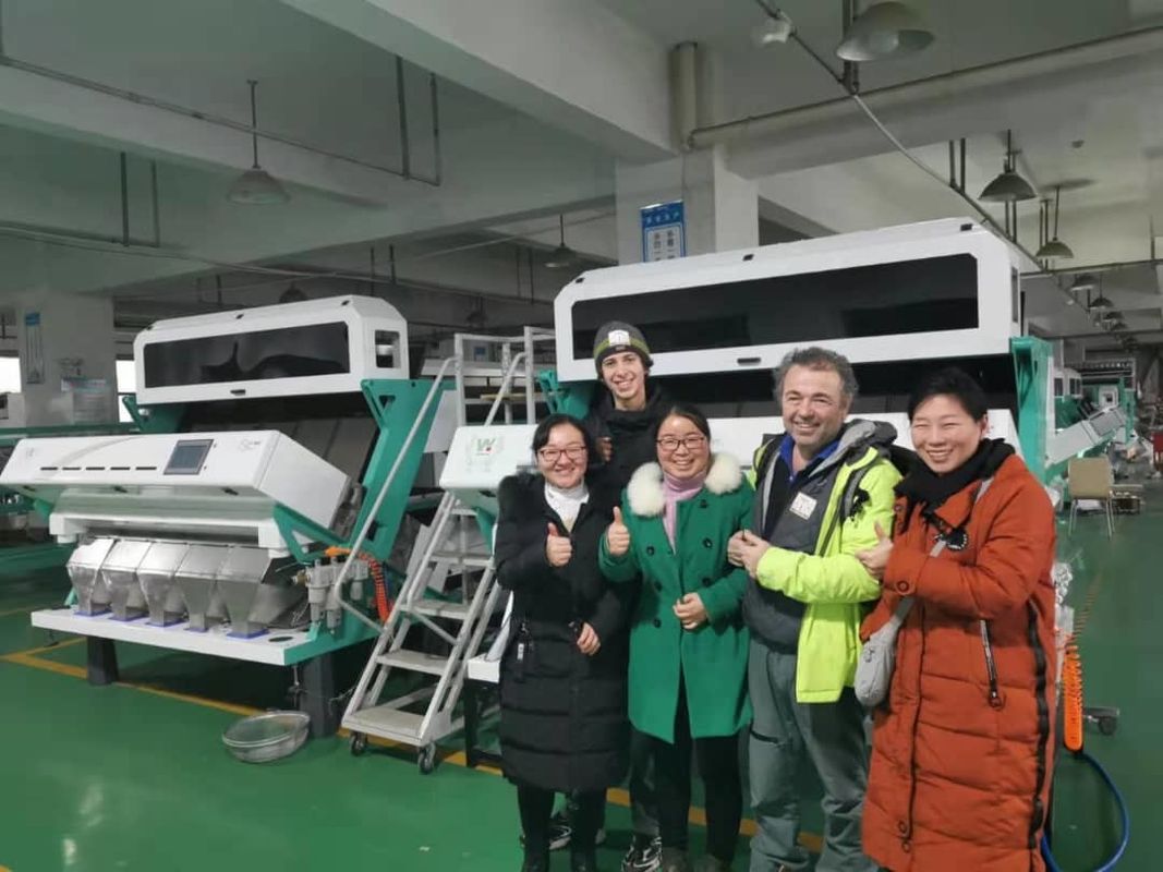 Wenyao Alta precisión clasificador de color frijoles Cereales Cereales Trigo Maíz Semillas Nueces de té Color clasificador Wifi remoto