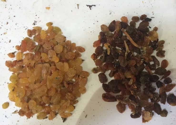 Clasificador inteligente del color de la macadamia de la almendra del anacardo del CCD óptico
