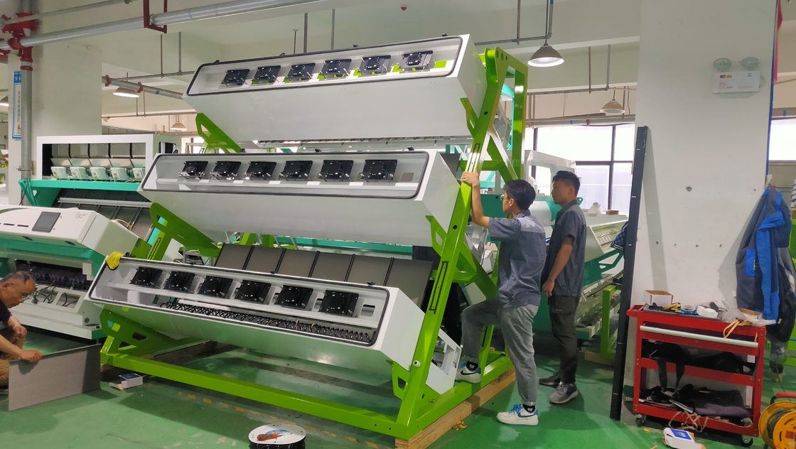 Máquina de clasificación de colores de alta precisión para la línea de procesamiento de té verde negro para la venta