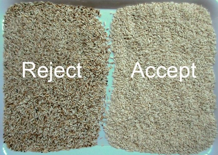 Clasificadora cocida a medias de grano largo del color de la alta exactitud de la máquina del clasificador del color del arroz