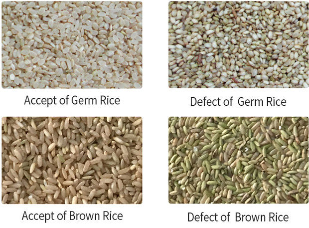Clasificadora cocida a medias de grano largo del color de la alta exactitud de la máquina del clasificador del color del arroz