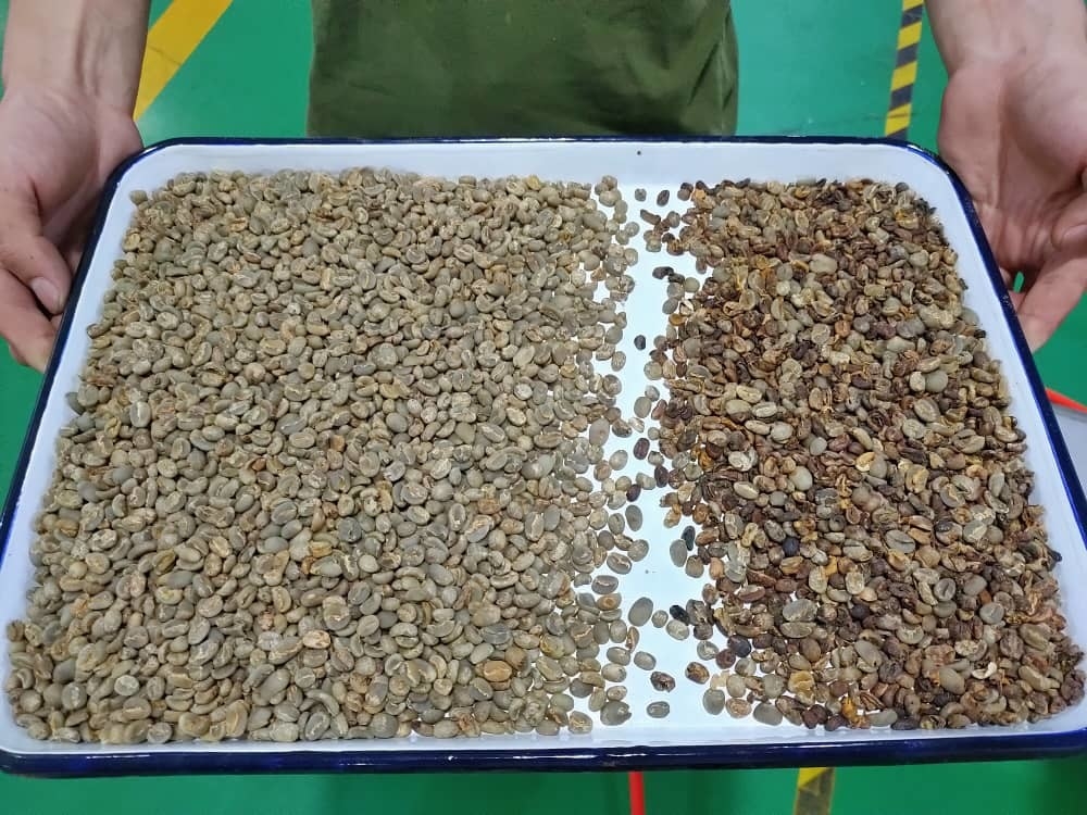 Wenyao Color Completo RGB Color Sortador para el plástico de grano de arroz de grano máquina de clasificación