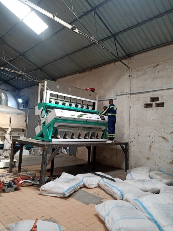 Sortador de color de arroz de alta capacidad 0,3 - 0,9 t/h 2 años Precisión de clasificación 99,5 - 99,9%