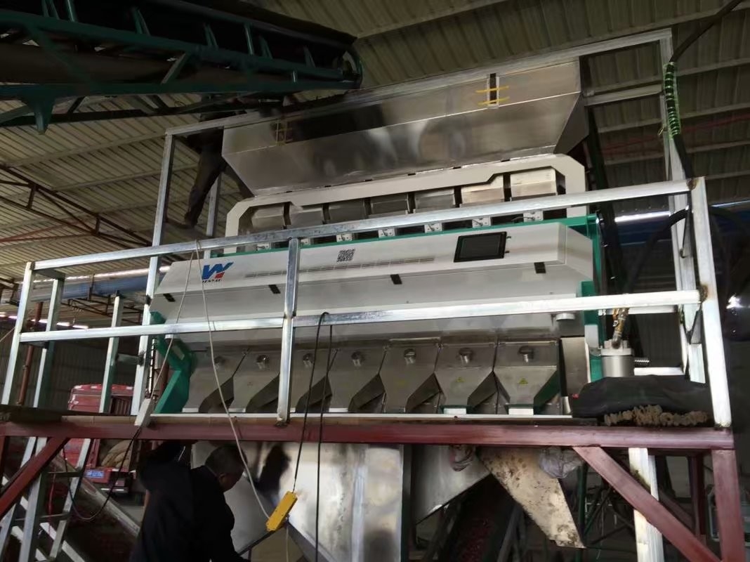Sortador de color de arroz de alta capacidad 0,3 - 0,9 t/h 2 años Precisión de clasificación 99,5 - 99,9%