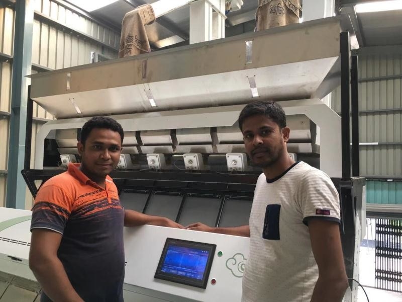 Sortador de color de arroz de alta capacidad 0,3 - 0,9 t/h 2 años Precisión de clasificación 99,5 - 99,9%