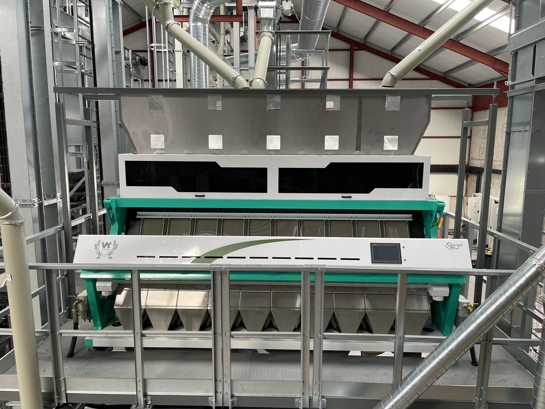 Máquina de clasificación de color de arroz inteligente de alta calidad con control de IA de China