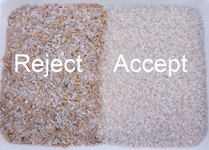 Máquina inteligente de clasificación rápida de color para la industria de molienda de arroz rojo y negro de mijo