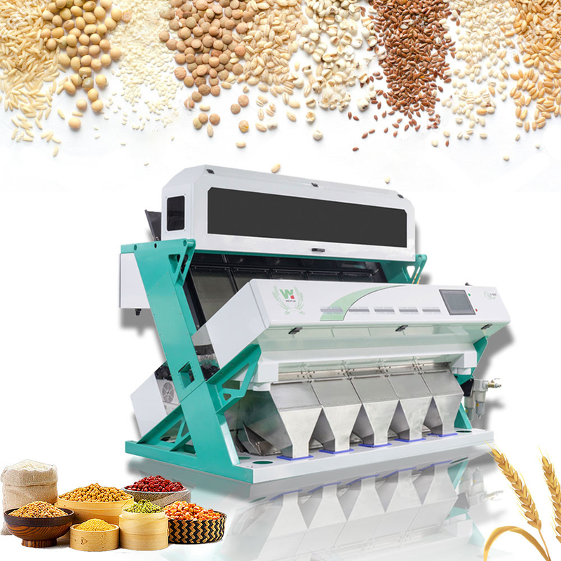 CCD de alta frecuencia limpiador de granos clasificador de colores separador de colores de sésamo económico