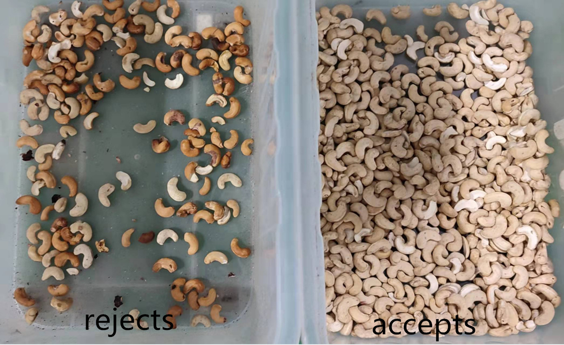 CCD de alta frecuencia limpiador de granos clasificador de colores separador de colores de sésamo económico