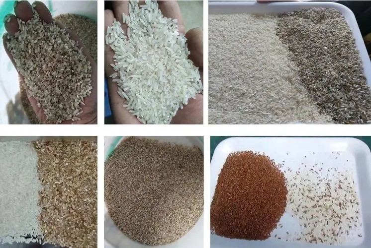 CCD de alta frecuencia limpiador de granos clasificador de colores separador de colores de sésamo económico