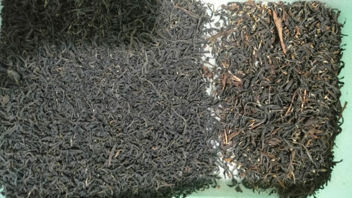 Máquina de clasificación de té Wenyao CCD para la clasificación de té negro de Sri Lanka