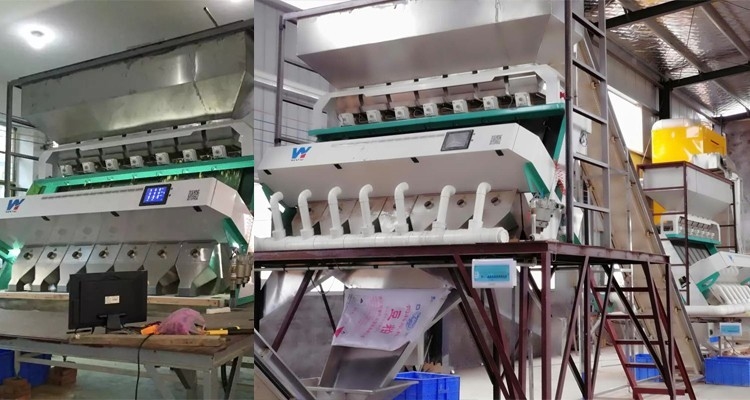 Máquina de clasificación de colores ópticos minerales para el cuarzo de feldspato de barita de kaolín