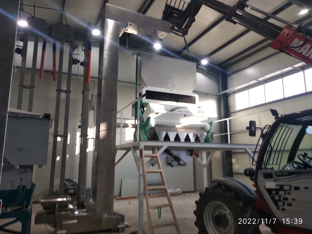 Máquina para clasificar el color de las avellanas de Macadamia y máquina para separar el núcleo y la cáscara de las avellanas