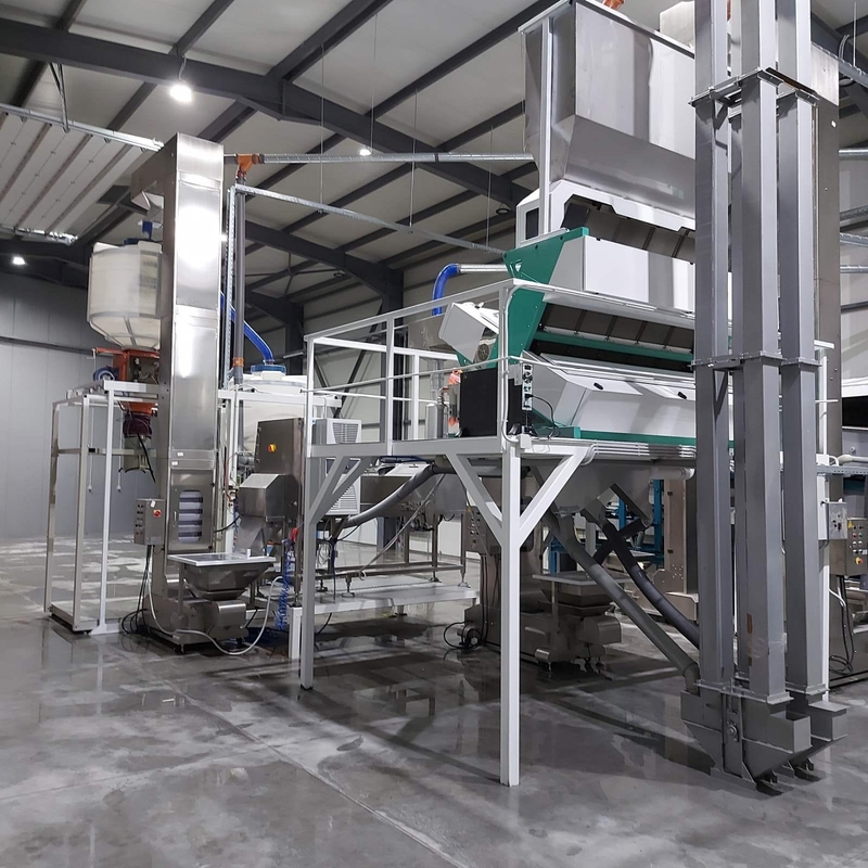 Máquina para clasificar el color de las avellanas de Macadamia y máquina para separar el núcleo y la cáscara de las avellanas
