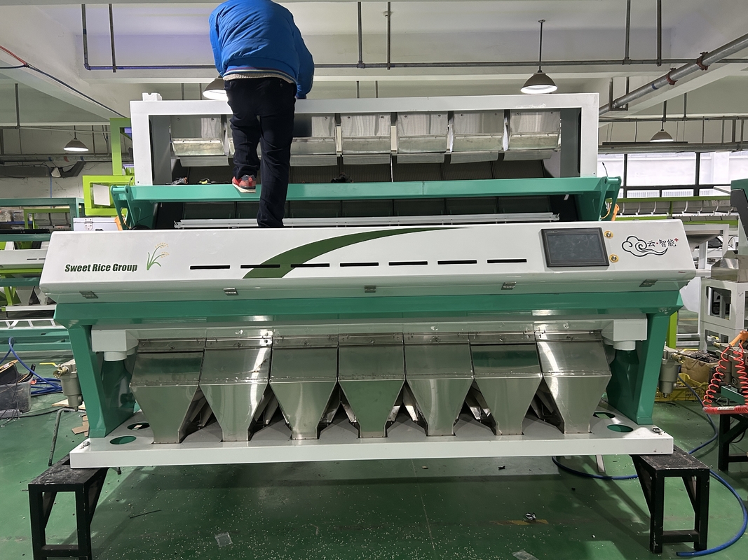 Máquina de clasificación de colores de granos ópticos de alta precisión con cámara CCD
