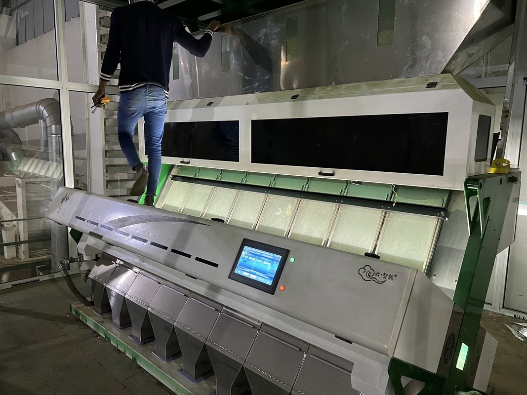 Máquina para clasificar el color de los granos de café crudos verdes para la clasificación de los granos de café tostados