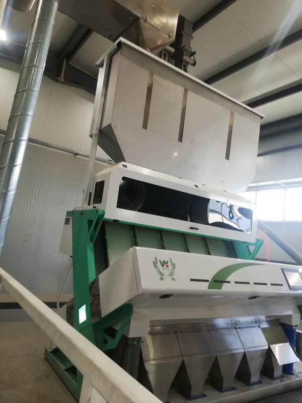 Clasificador mohoso del color del trigo de 5 canales inclinados, máquina del clasificador para el trigo para quitar trigo del moho