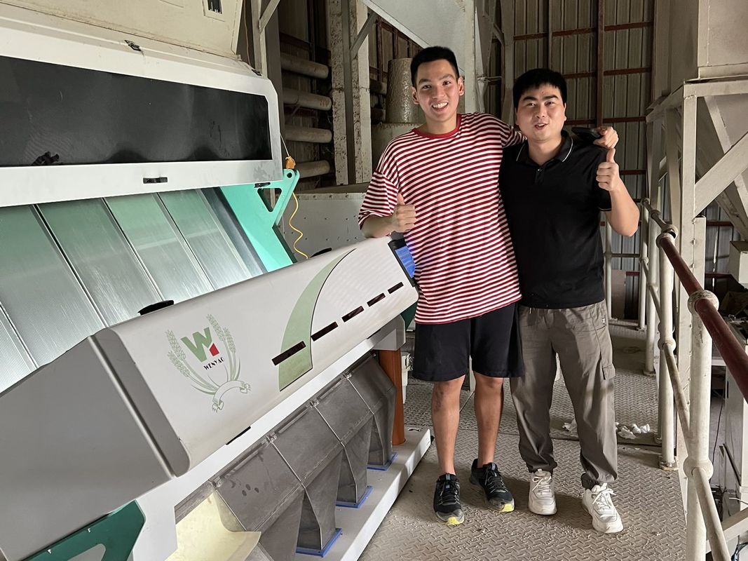 Clasificador mohoso del color del trigo de 5 canales inclinados, máquina del clasificador para el trigo para quitar trigo del moho