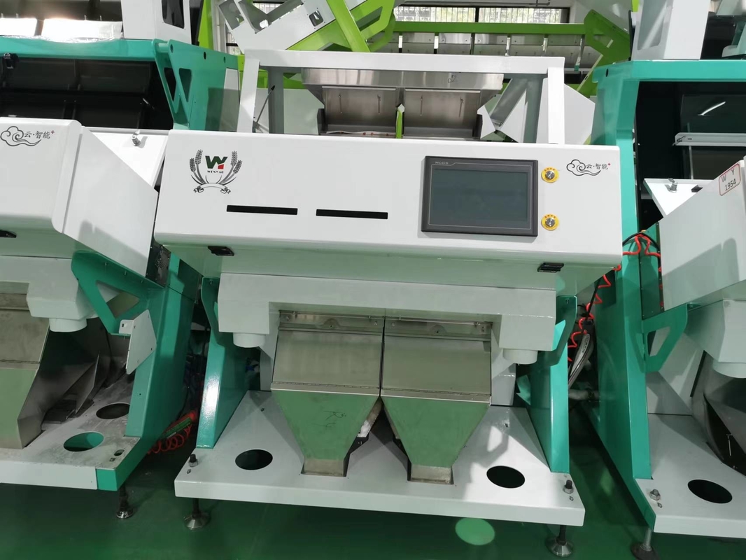 Máquina para clasificar el color de las lentejas rojas