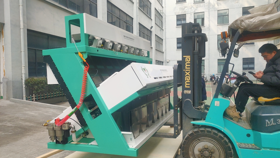 Máquina de clasificación de color de cebolla seca para clasificar la cebolla de Hefei China