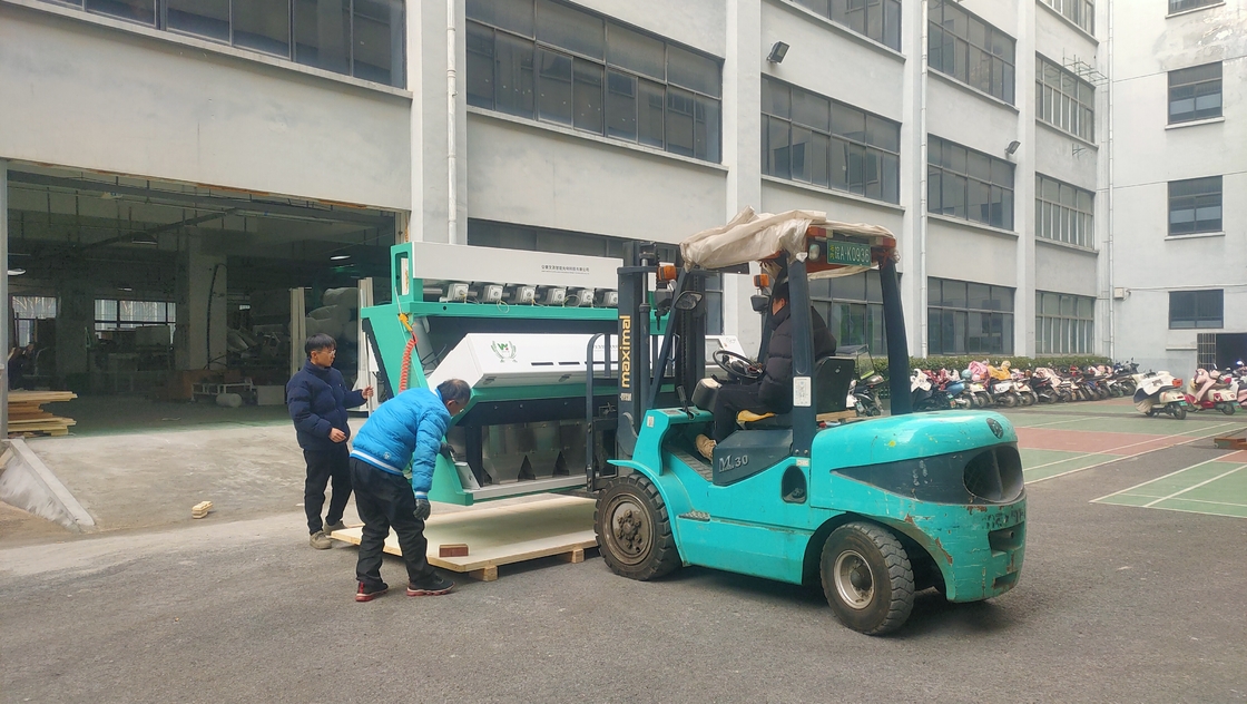 Máquina de clasificación de color de cebolla seca para clasificar la cebolla de Hefei China