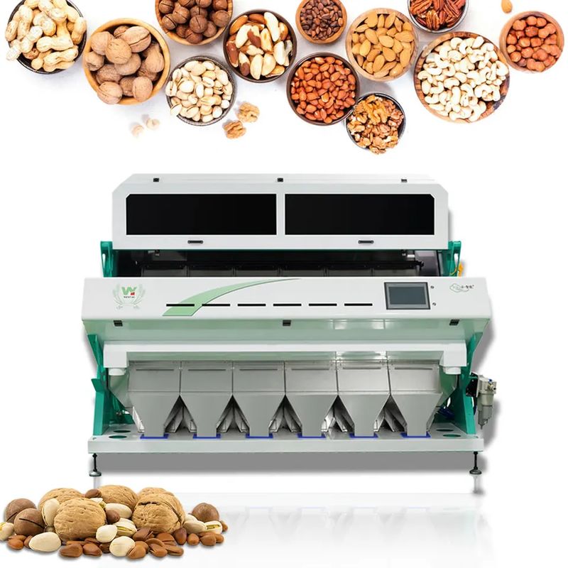 Máquina clasificadora de granos de café WENYAO con IA para color y forma, precisión del 99,99%, capacidad de 2500-8000 kg/h, alta pureza, garantía de 2 años