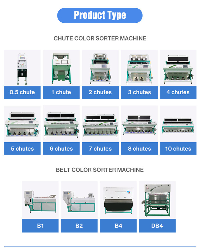 Procesamiento de AI Sortidor de granos de café Máquina de clasificación CCD Color y forma