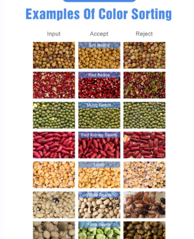 Aprendizaje profundo Maquina de clasificación de colores de frijoles de acero inoxidable con una precisión de clasificación del 99,9%