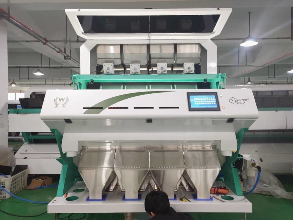 Máquina de clasificación de color de semillas de girasol para la clasificación de pistachos y nueces de anacardos Máquina de clasificación de color