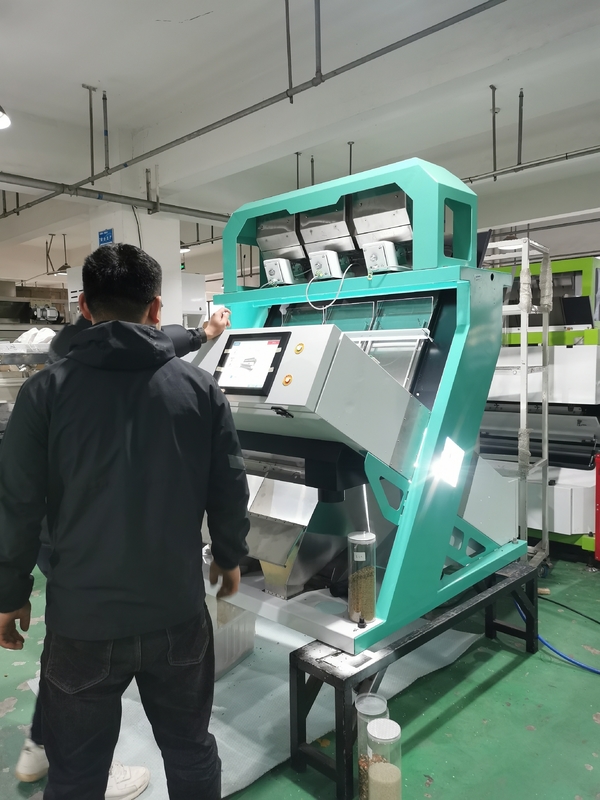 Automático de clasificación de alto rendimiento clasificador de color de nuez núcleo y separación de cáscara