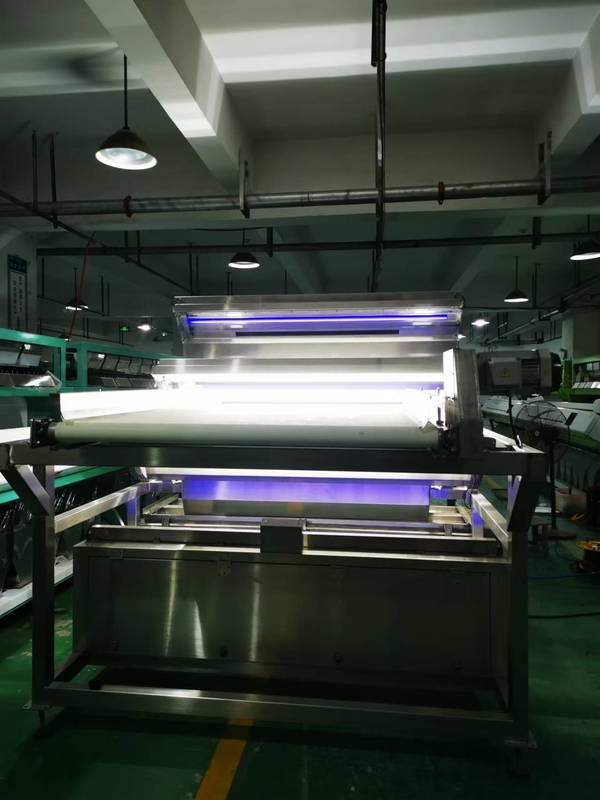 Cinturón resistente al agua Color Sortador para café Cerezas gusanos de seda crisálida vegetales congelados