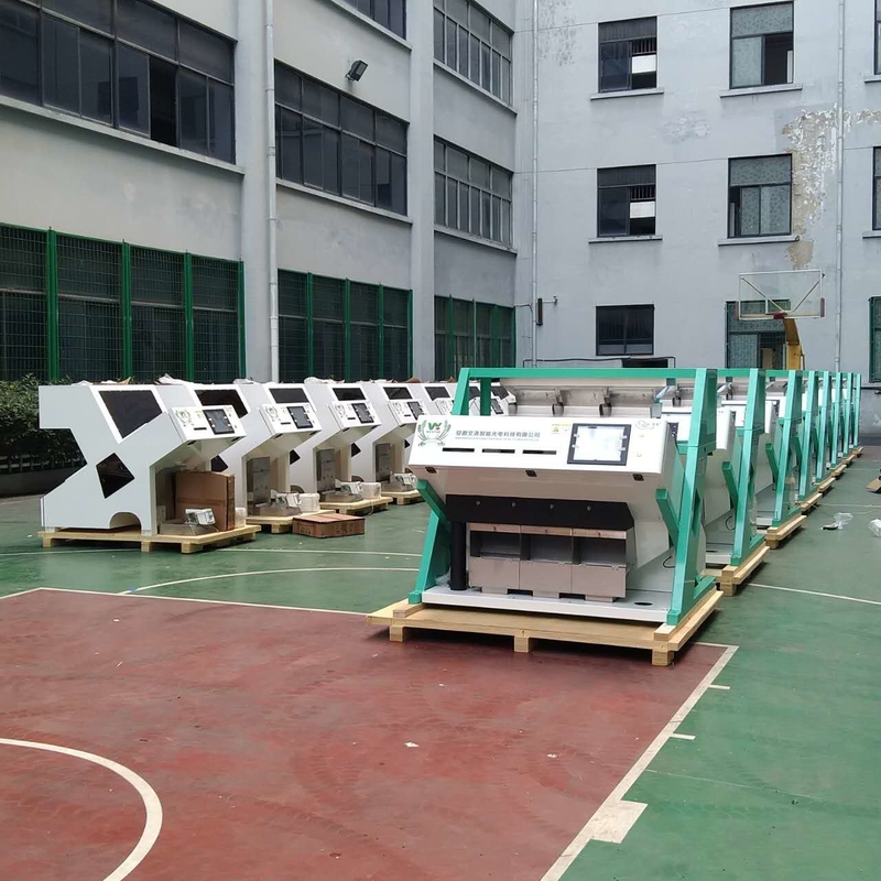 2025 Máquina automática de clasificación de granos de café y cacahuetes de China