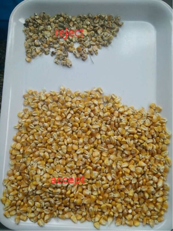 Máquina para clasificar el color de las semillas de quinoa Granos largos Arroz cocido Color Sortador de semillas ópticas Selector de color